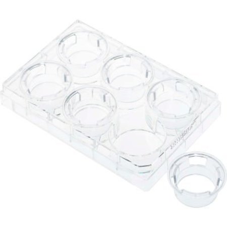 CELLTREAT CELLTREAT® Permeable Cell Culture Inserts, Packed in 6 Well Plate, Hanging, PC, 8.0m, Sterile 230605